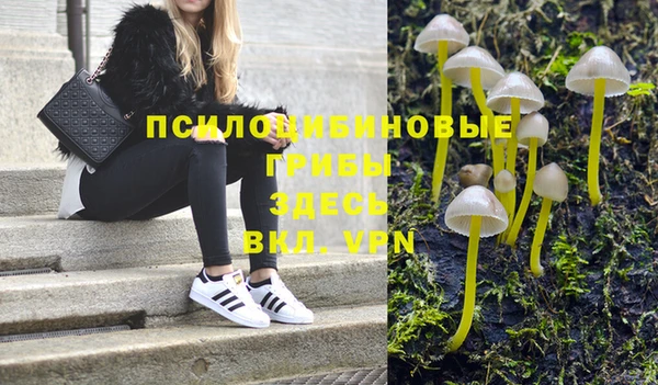 ешки Балахна